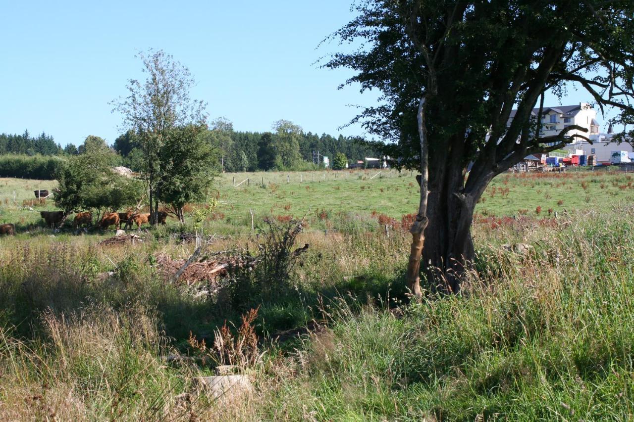 Hotel Wemperhardt Eksteriør bilde